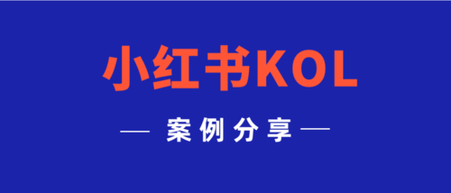 小红书推广案例总结