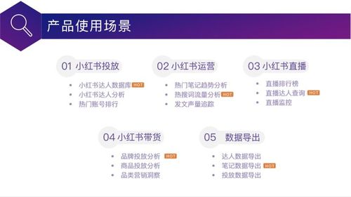 小红书推广数据