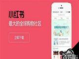 小红书网络营销