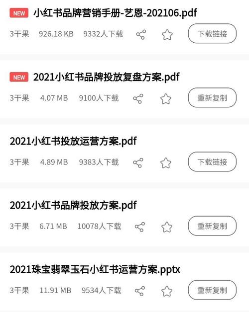 小红书网络营销策划书