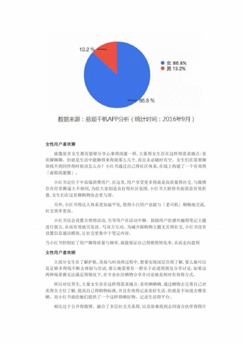 小红书网络营销策略分析