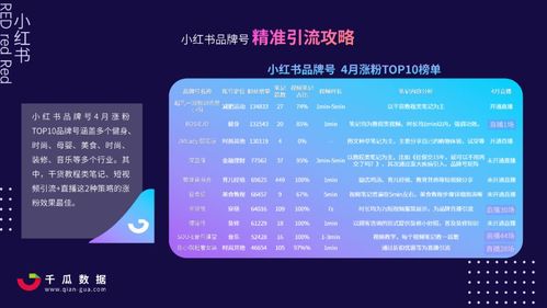 小红书网络营销策略分析
