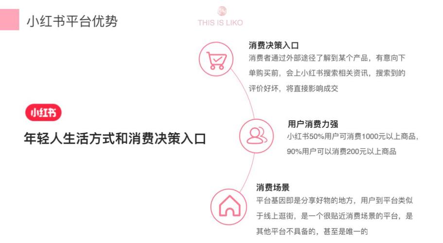 小红书网络营销模式研究