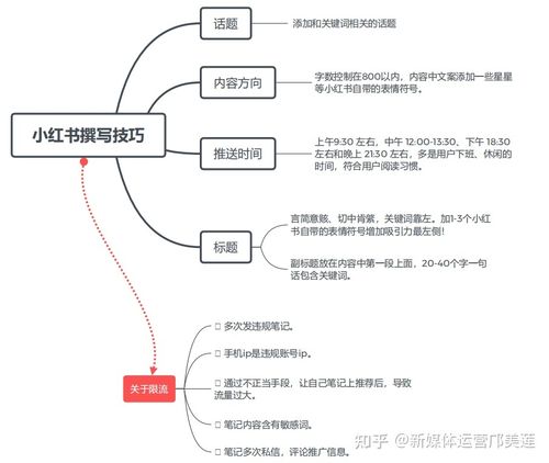 小红书营销服务