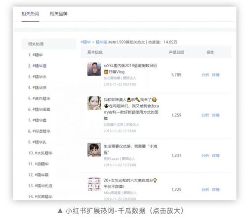 小红书营销数据分析