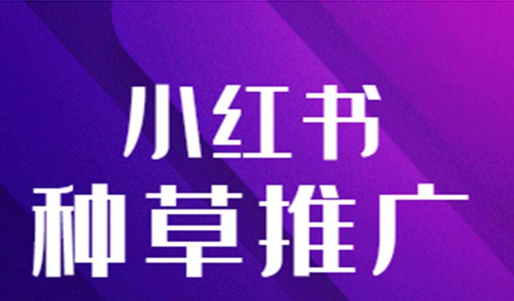 小红书营销外包
