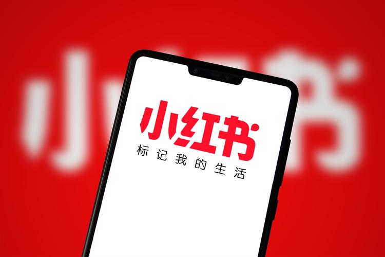 小红书营销总结