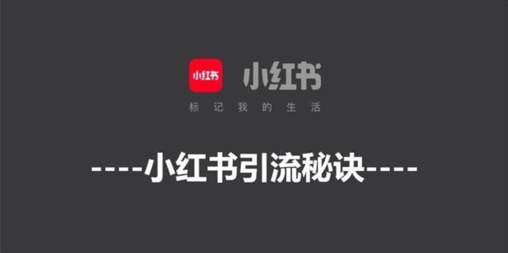 小红书怎么合作推广