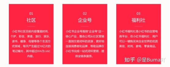 小红书怎么运营好