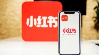 小红书怎么做广告