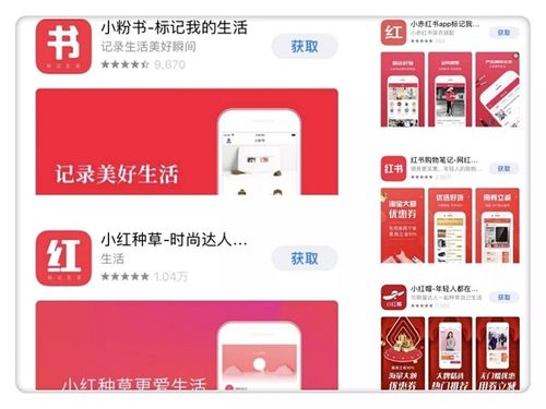 小红书做广告