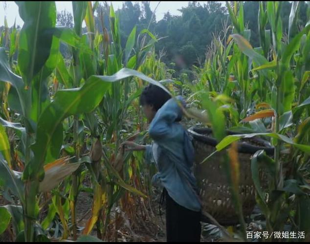 80后短视频