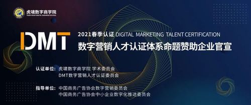 dmt短视频营销