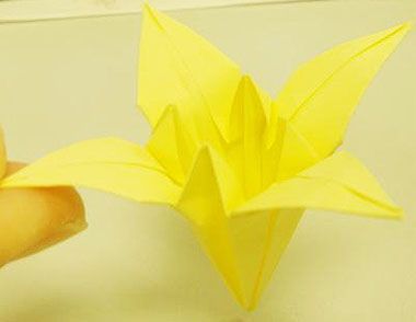 百合花的制作方法视频