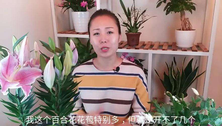 百合是怎么弄对方的视频