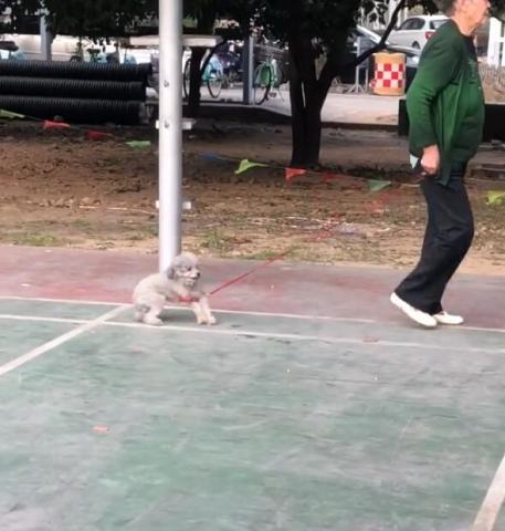 绊脚套怎么做视频