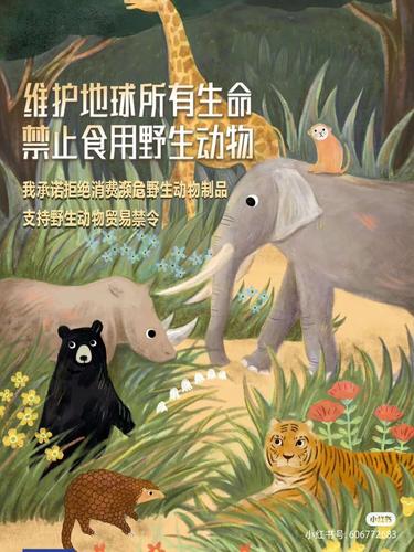 保护动物的宣传视频