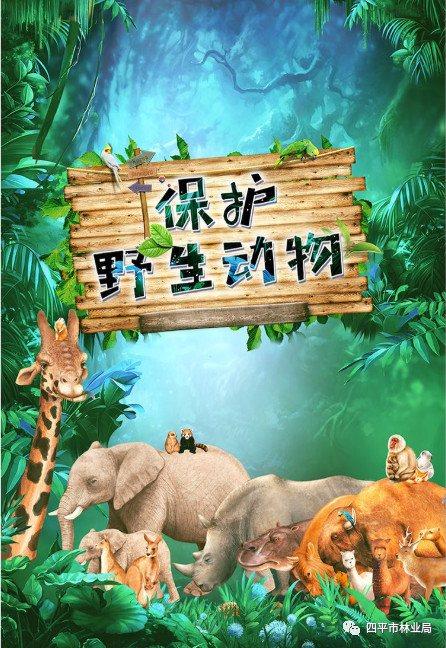 保护动物宣传视频