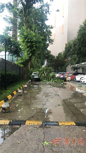 暴雨短视频