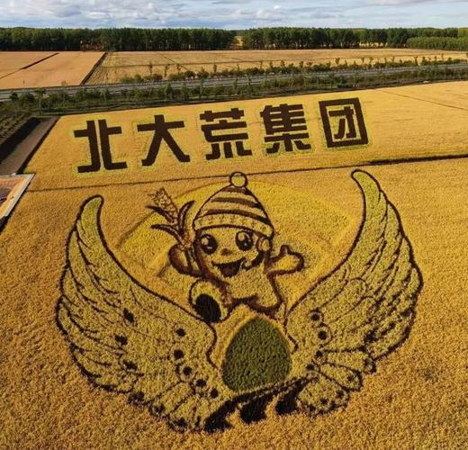 北大荒宣传视频