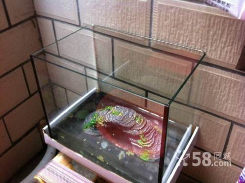 玻璃鱼缸制作方法视频教程