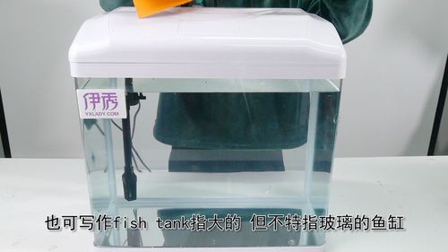 玻璃鱼缸制作视频