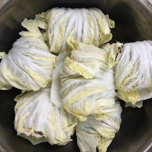 菜包的做法视频