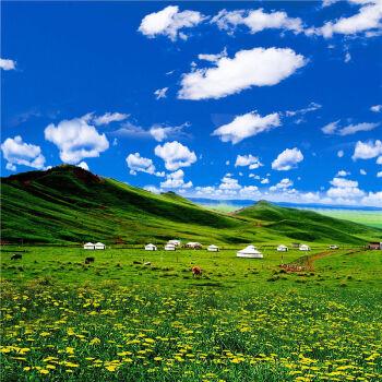 草原风景短视频