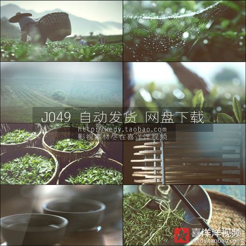 茶叶宣传视频