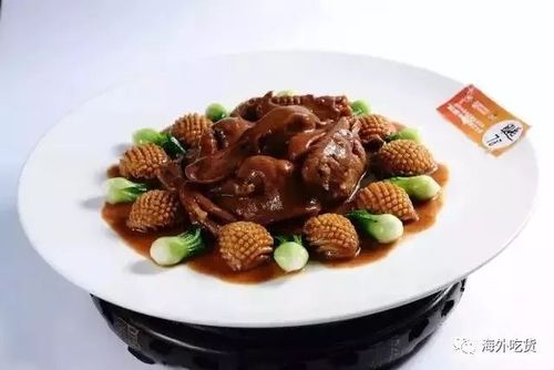 刺鲍鱼的做法视频