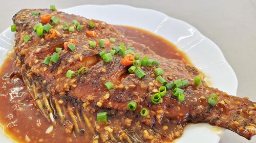 大厨红烧鱼的做法视频