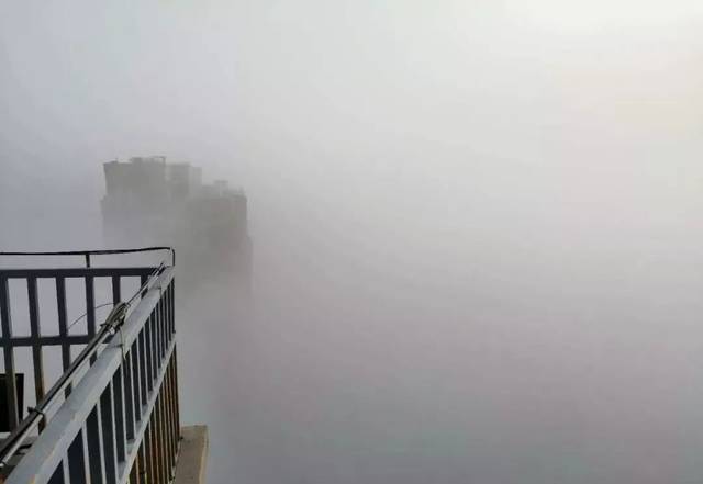 大雾短视频