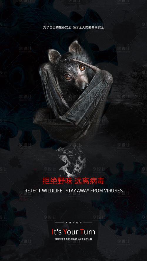 动物保护宣传视频
