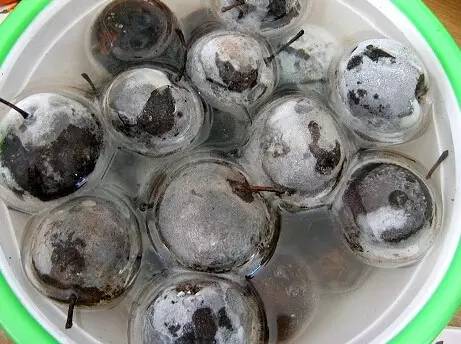 冻梨的做法视频