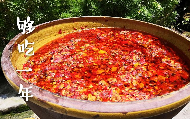 豆瓣酱的制作视频
