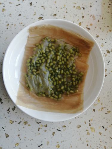豆芽的制作视频