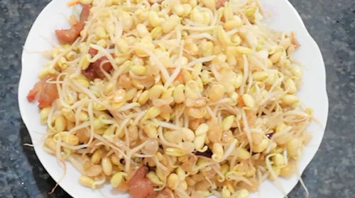 豆芽制作视频