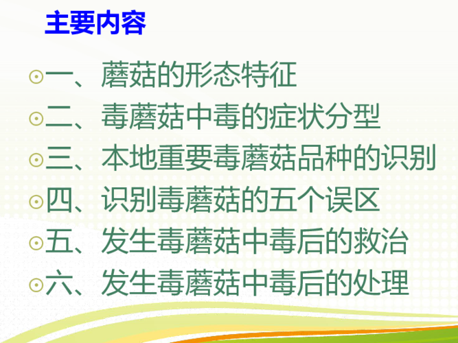 毒蘑菇宣传视频