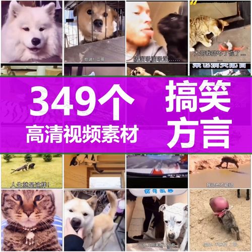 短搞笑视频