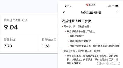 短视频播放量收益