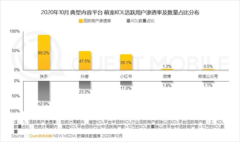 短视频的受众分析