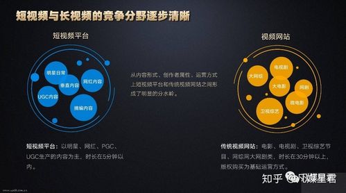 短视频分析网站
