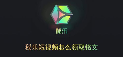 短视频免费版