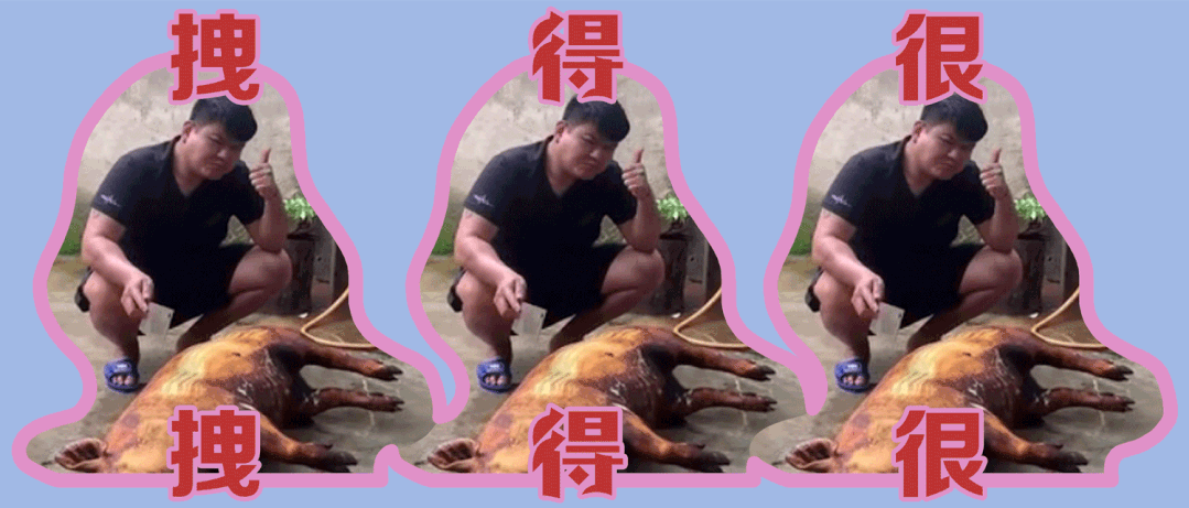 短视频是猪食