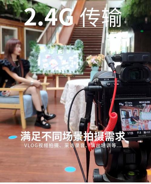 短视频网红