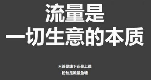 短视频引流率