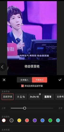 短视频字幕