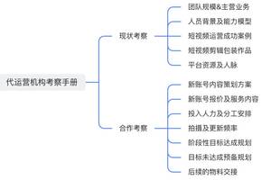 短视频总结