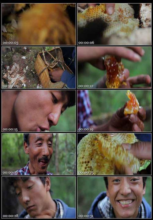 蜂蜜制作过程视频