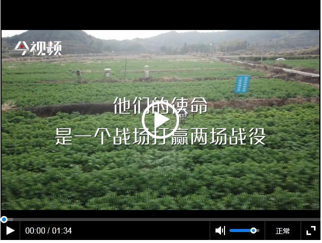 扶贫短视频